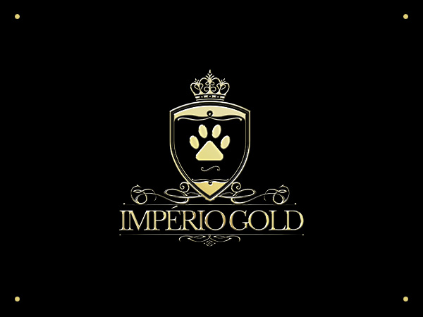 Canil Império Gold - Especializado nas raças Spitz Alemão e Yorkshire Terrier