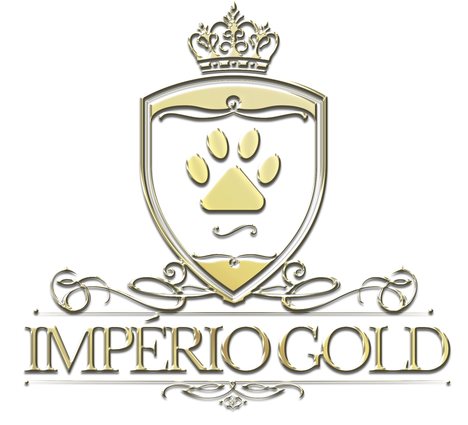 Logotipo Canil Império Gold | Especializado em Spitz Alemão e Yorkshire Terrier